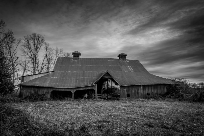 Government Island, Portland, Columbia River, Farm, Dairy, Barn